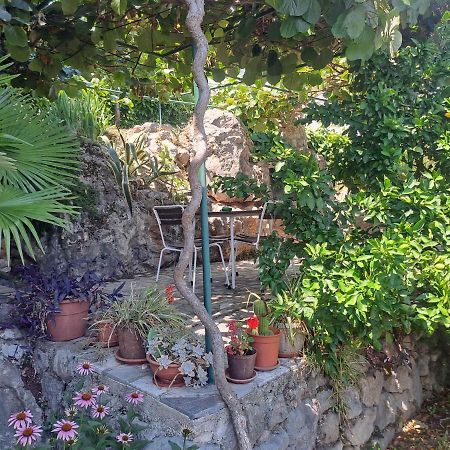 Apartment Camelia Opatija Dış mekan fotoğraf
