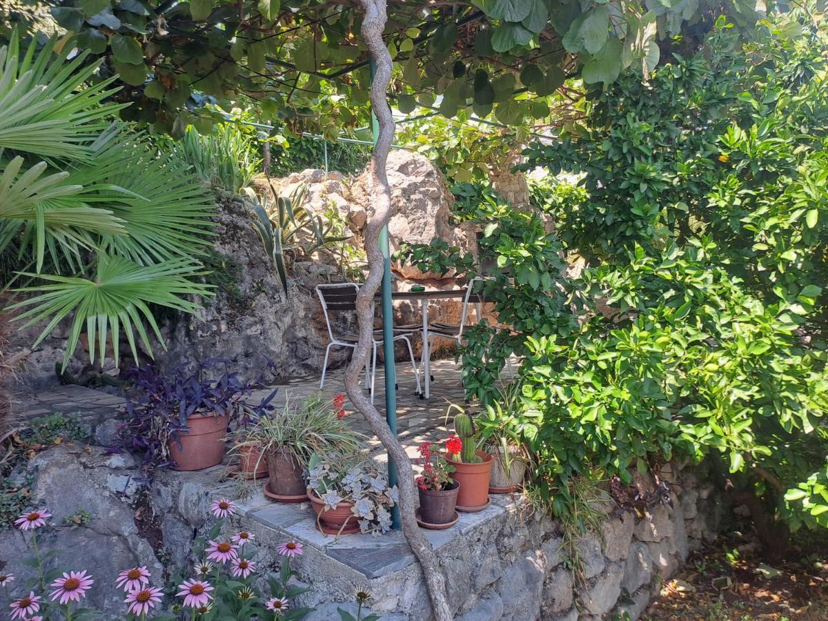 Apartment Camelia Opatija Dış mekan fotoğraf